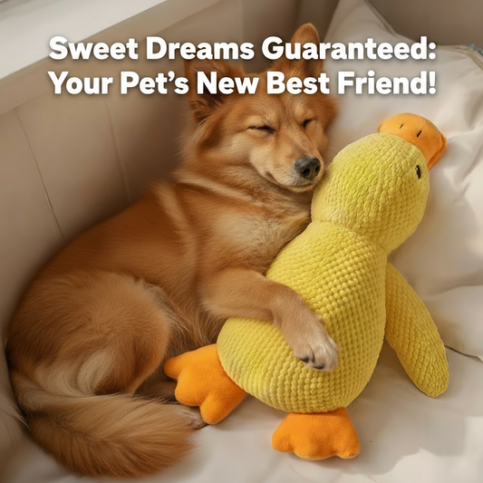 Durable Calming Duck