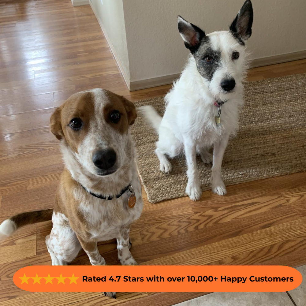 Ultrasonic Dog Repellent Barking Device