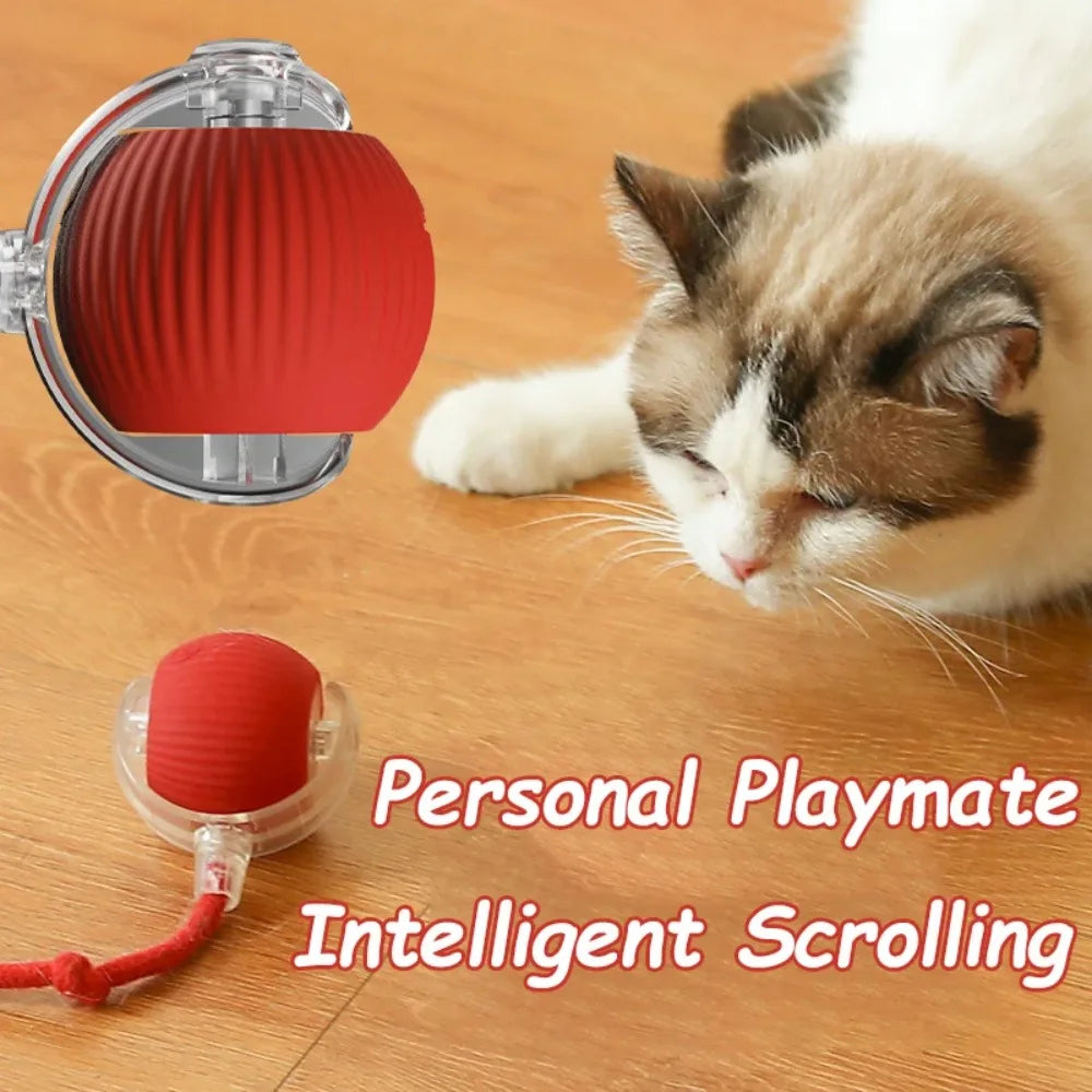 Smart Pet Cat Interactive Ball Toy