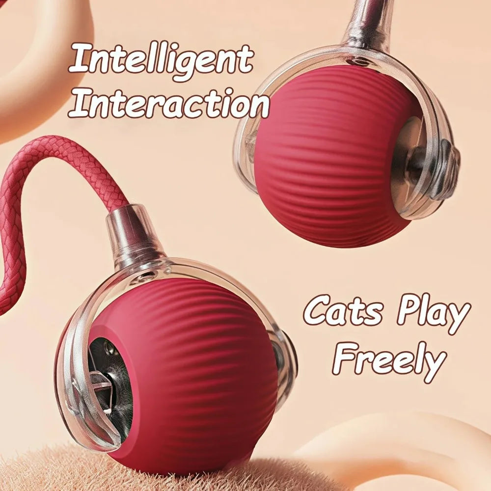 Smart Pet Cat Interactive Ball Toy
