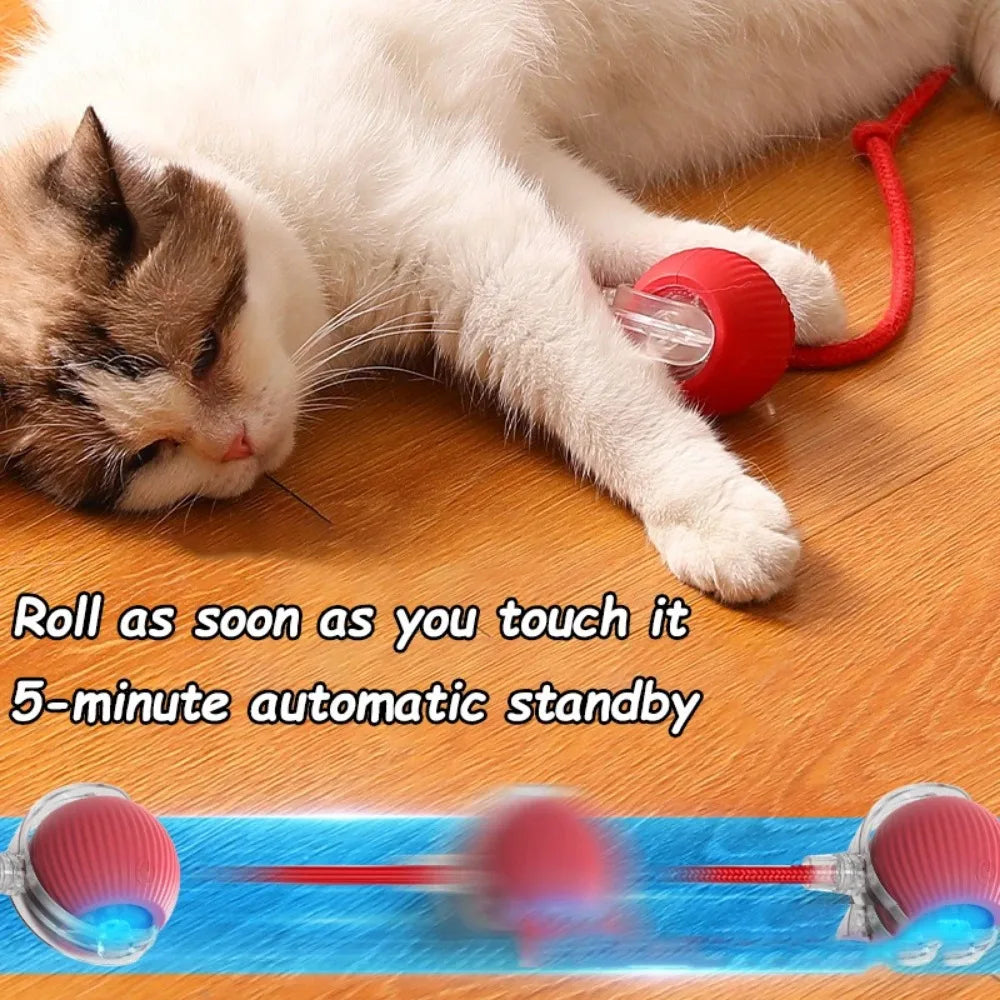 Smart Pet Cat Interactive Ball Toy