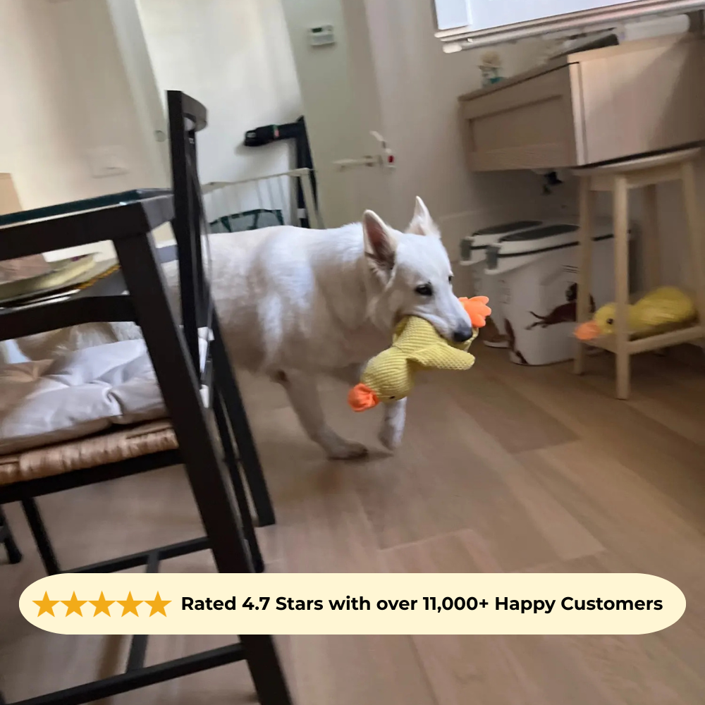 Durable Calming Duck